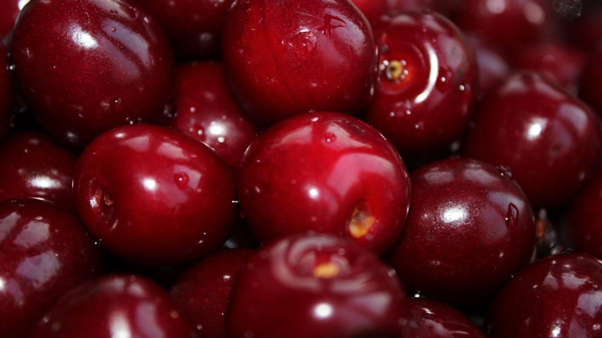 cum iti dai seama daca ciresele au sau nu viermi fara sa le desfaci