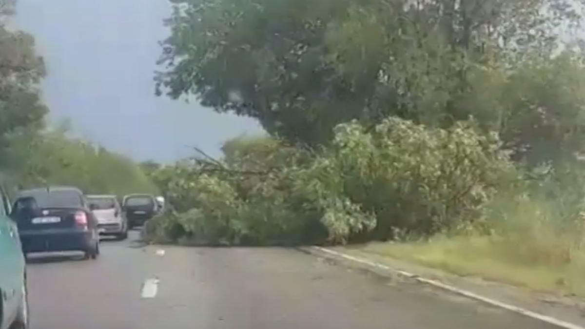 furtuna a facut ravagii in arad 10 muncitori raniti masini rasturnate si copaci cazuti pe carosabil