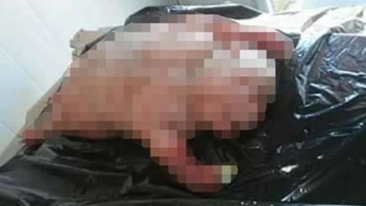 un oras intreg ingrozit dupa nasterea unei creaturi bizare ce naiba este asta un demon foto