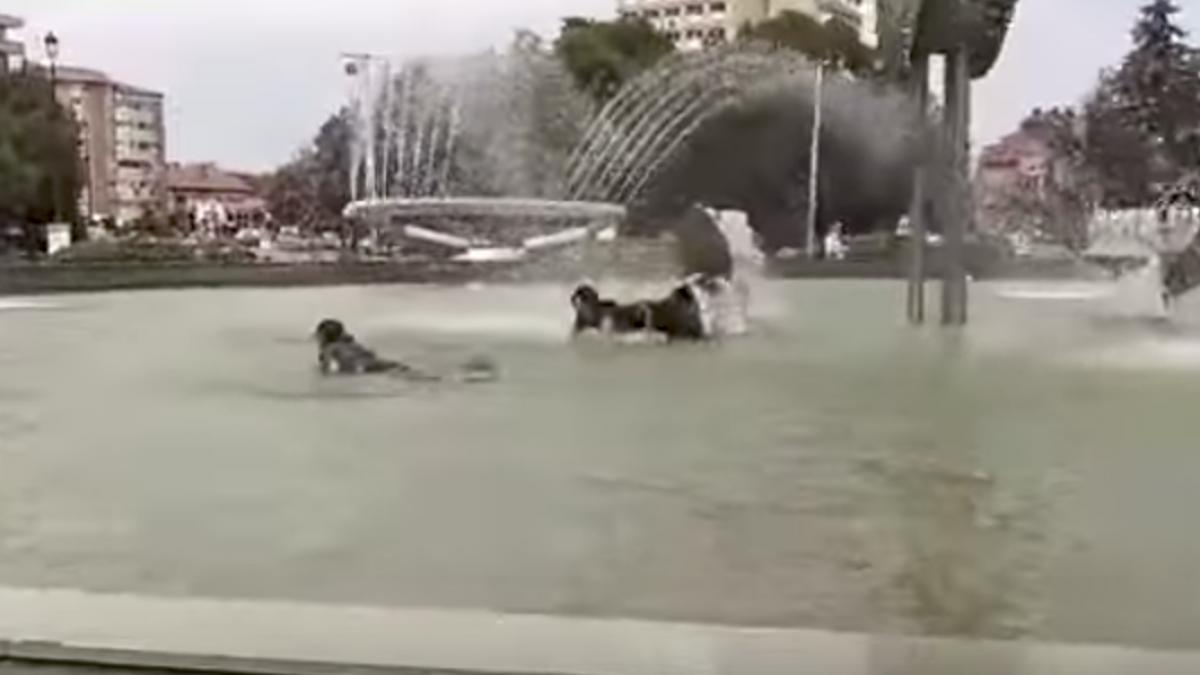 n au mai suportat caldura doua fete infierbantate s au imbaiat in fantana arteziana din alba
