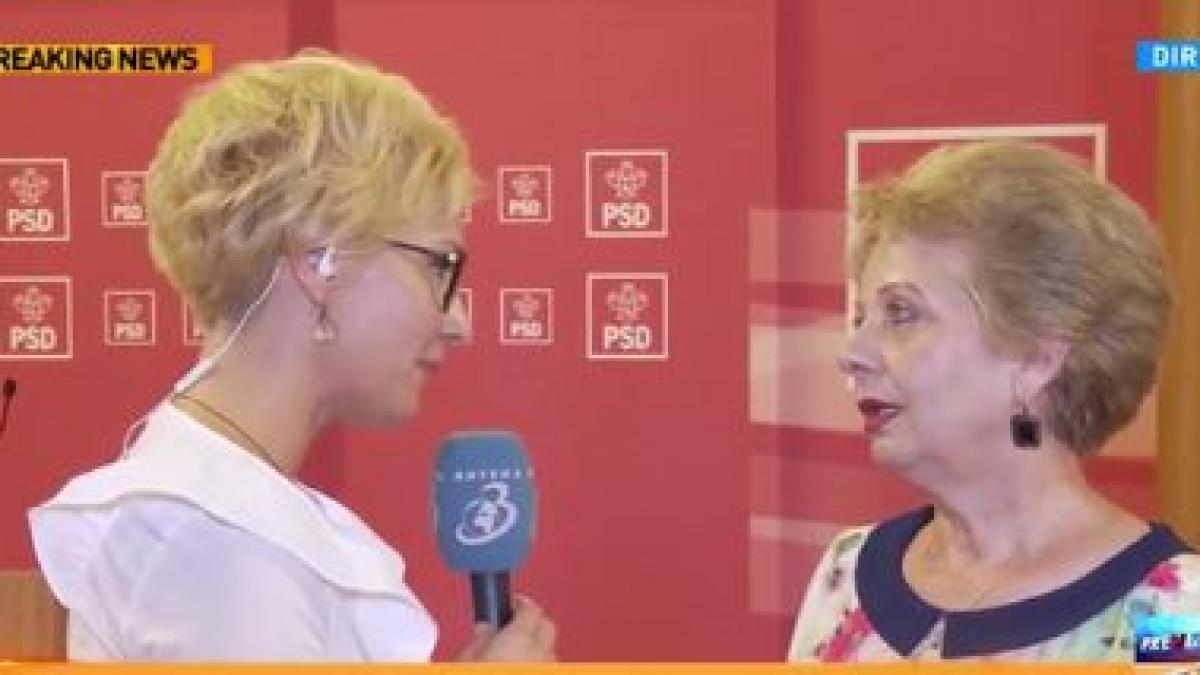 dana grecu pariu cu un fost ministru despre ce este vorba