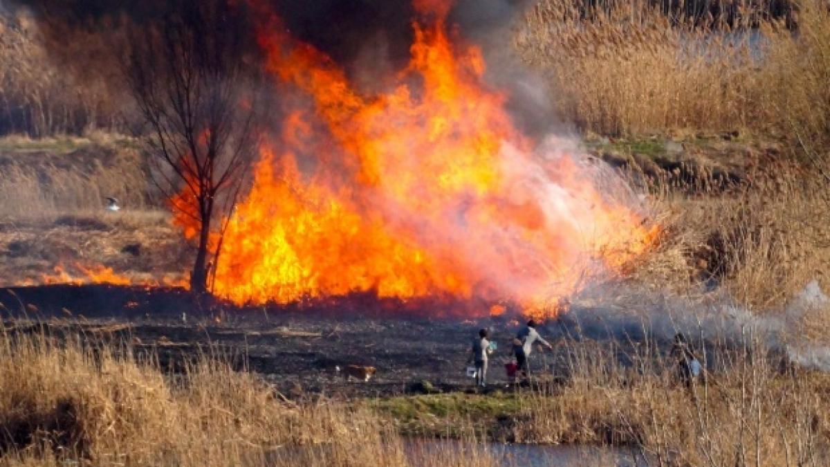 Haos pe autostradă. Trafic blocat din cauza unui incendiu puternic