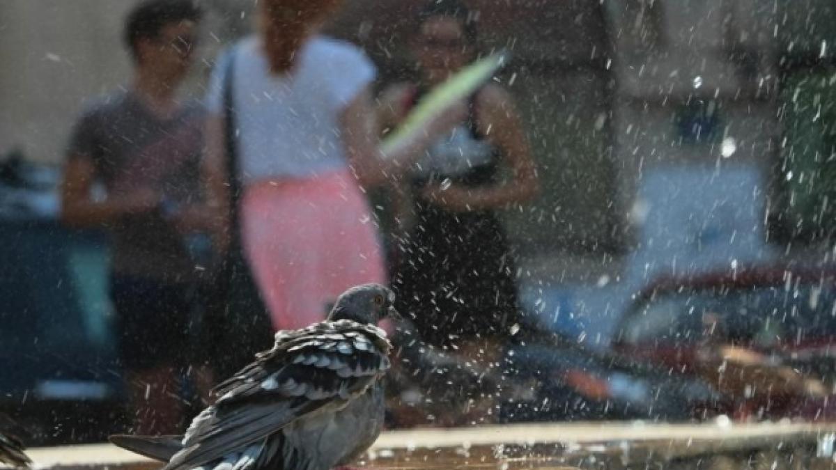 romania se topeste cod portocaliu de canicula