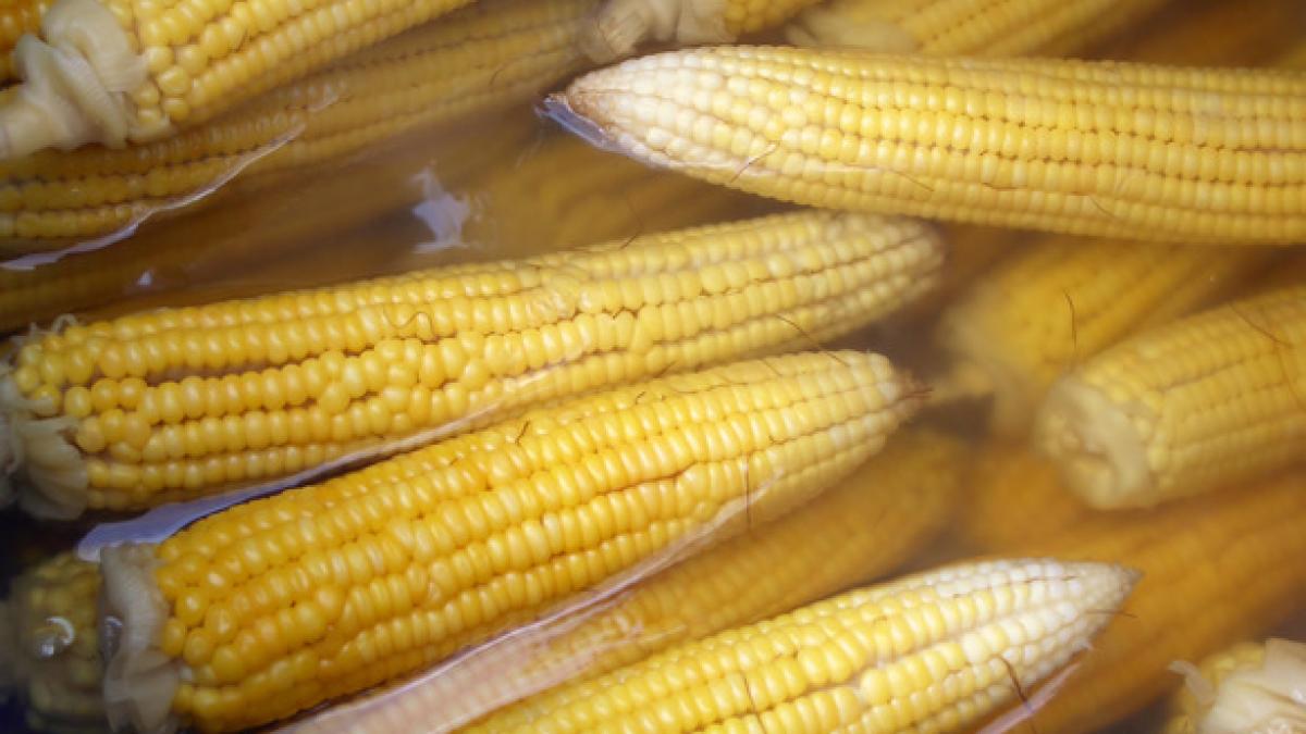 adevarul ascuns despre porumbul fiert vei mai manca