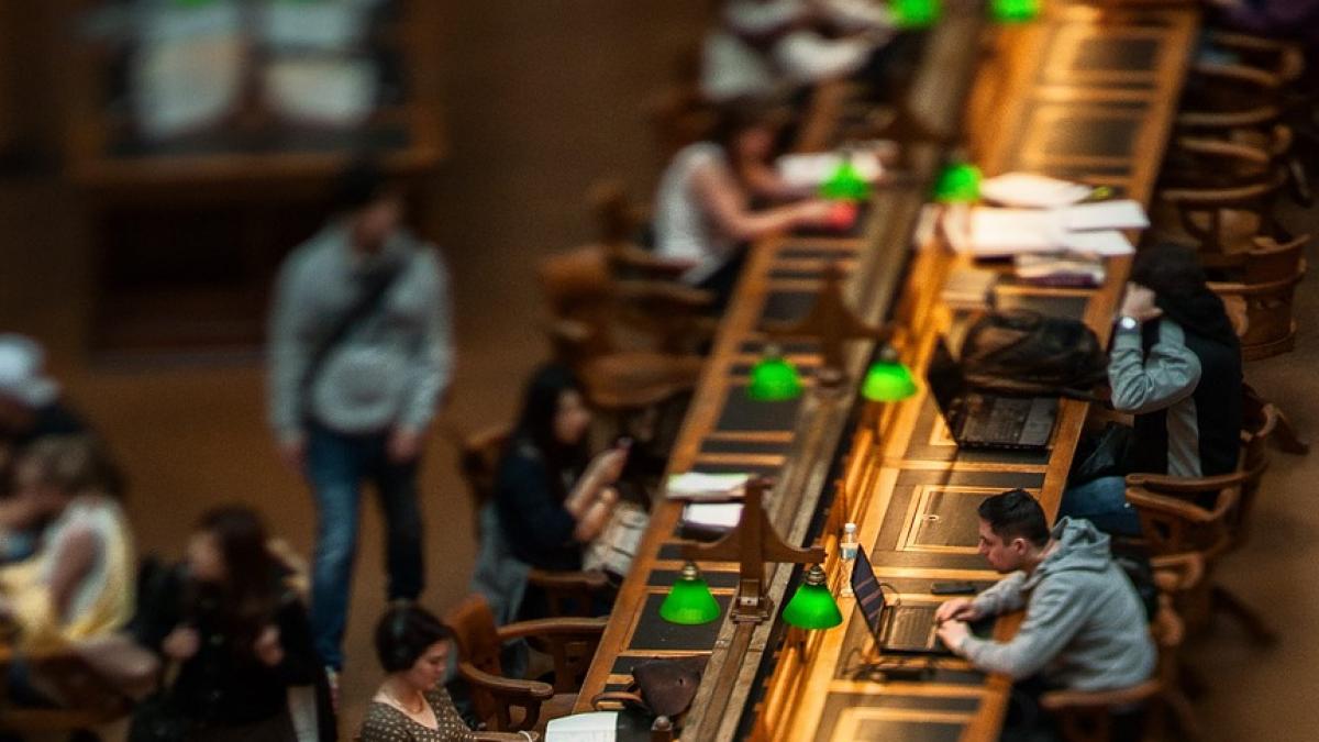 decizia incredibila luata de conducerea unui colegiu cum ii ajuta pe elevi sa scape de stresul