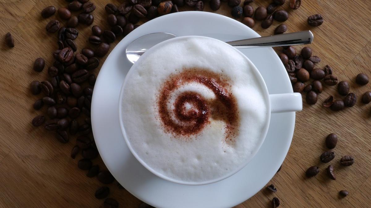 pericol pentru iubitorii de cafea descoperire socanta in trei lanturi de cafenele cunoscute la