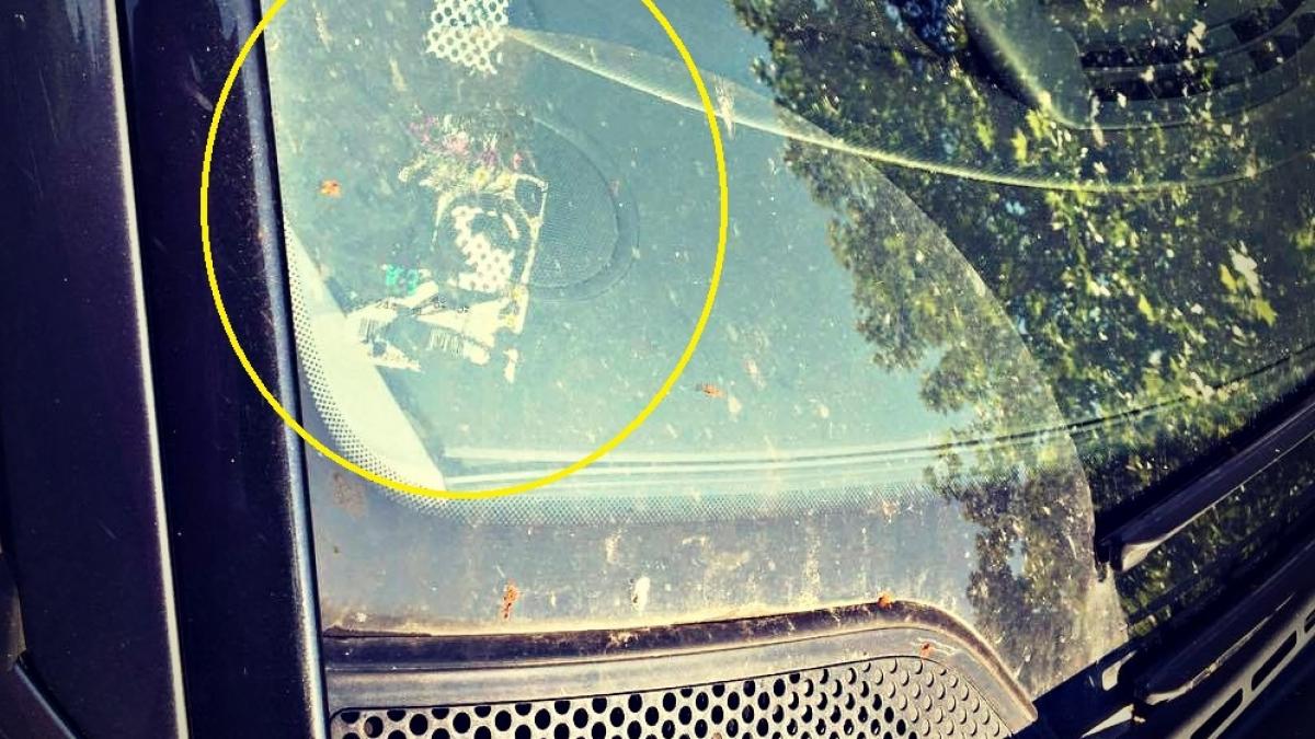 una dintre cele mai provocari pentru soferi dezlipirea vinietelor vechi ce solutie este mai buna