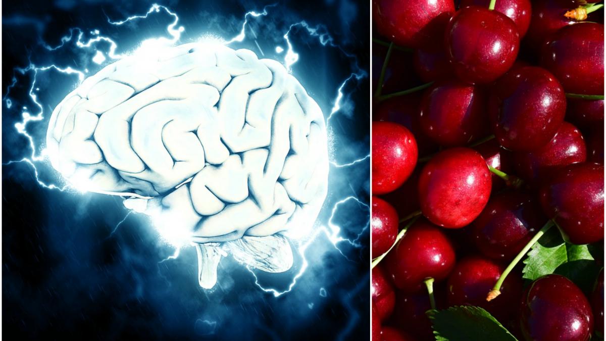 descoperire majora ce se intampla in creier cand mancam cirese