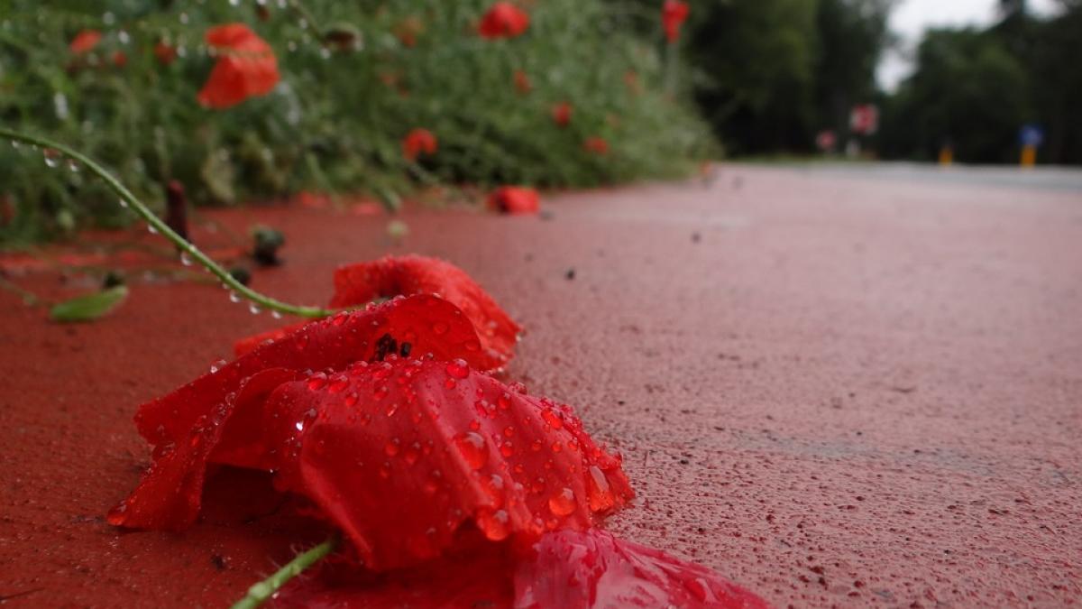 a luat examenul de bacalaureat 2017 cu nota mare dar nu a apucat sa se bucure de rezultat a fost