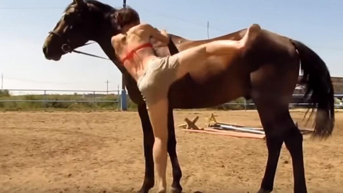 reactia incredibila a unui cal la incercarile repetate ale unei tinere de a l incaleca toti au