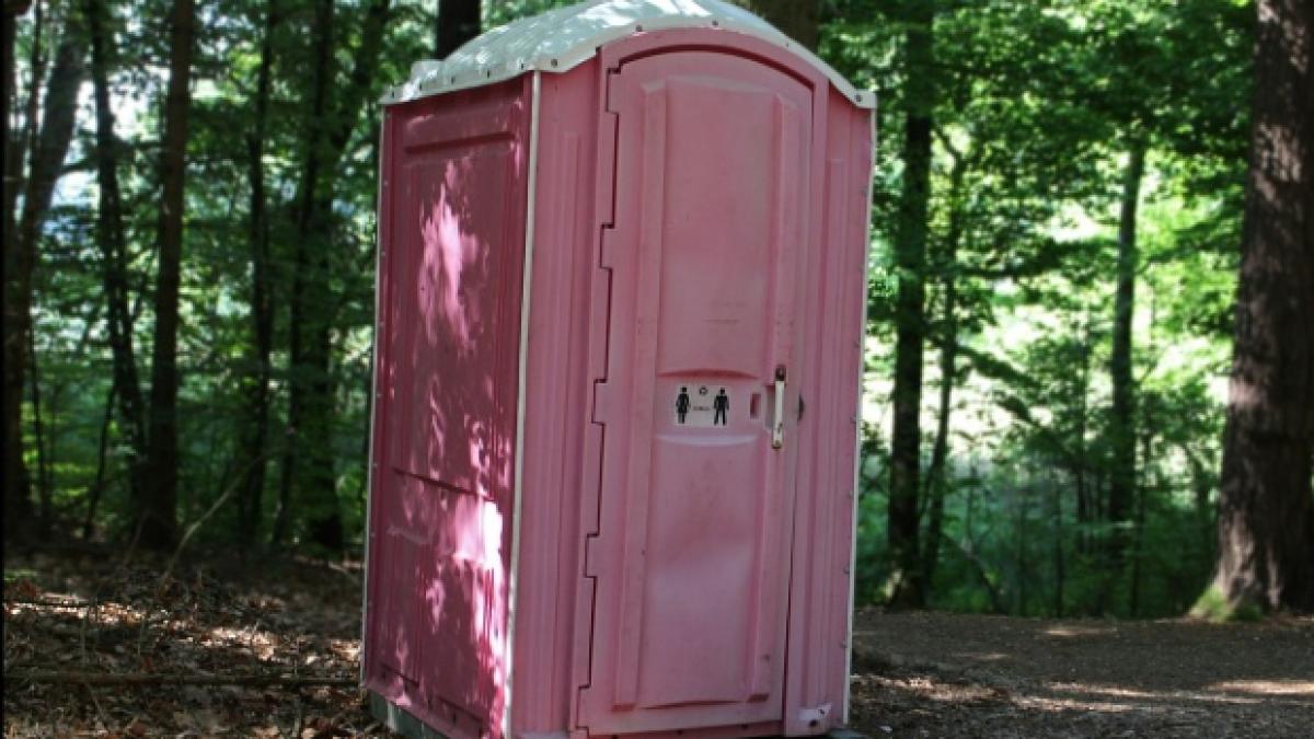 primaria care a cumparat toalete publice la pret de apartament