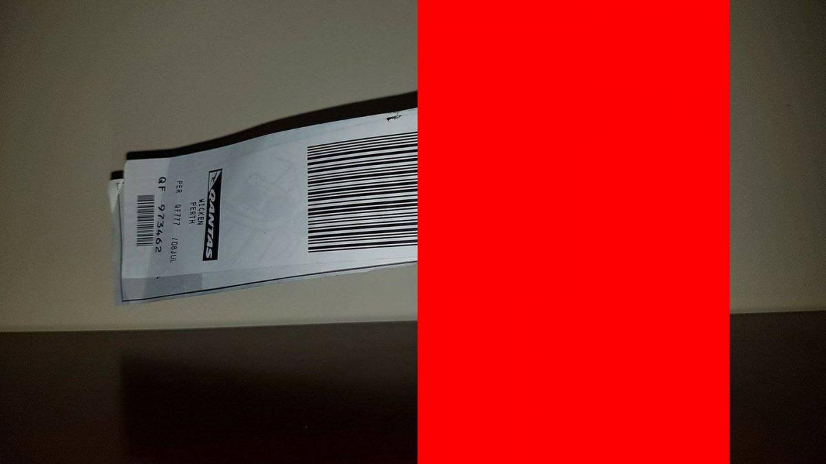 cu ce bagaj a urcat un barbat la bordul unui avion toata lumea a inceput sa rada cand a vazut ce