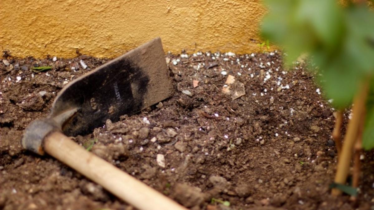 descoperire impresionanta facuta in urma unor sapaturi in curtea unei scoli din vrancea