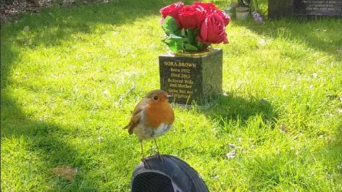 baietelul ei a murit de cancer dupa trei ani s a dus la mormantul lui si l a rugat sa i dea un semn