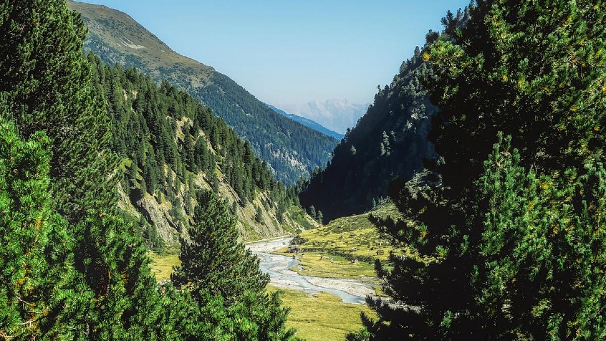 o masina a cazut intr o rapa la valea doftanei doua persoane sunt ranite