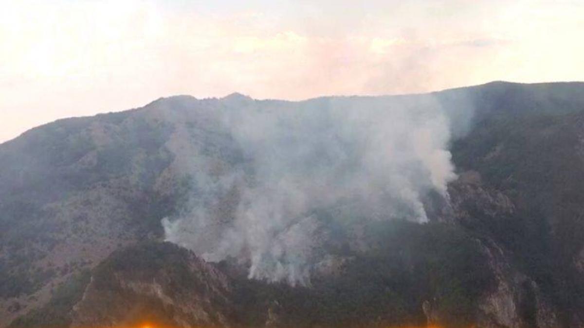 incendiu urias in mehedinti zece hectare de vegetatie uscata si o padure de pin sunt cuprinse de