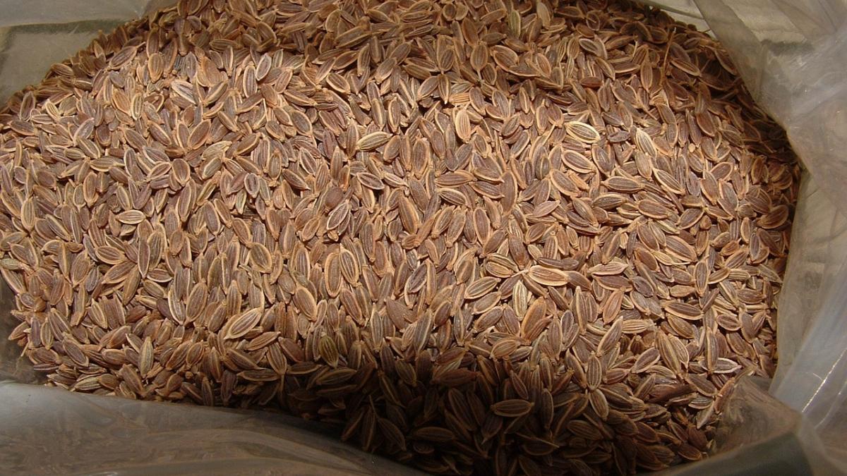 medicamentul din bucatarie o lingurita cu aceste seminte contine mai mult calciu decat o cana cu