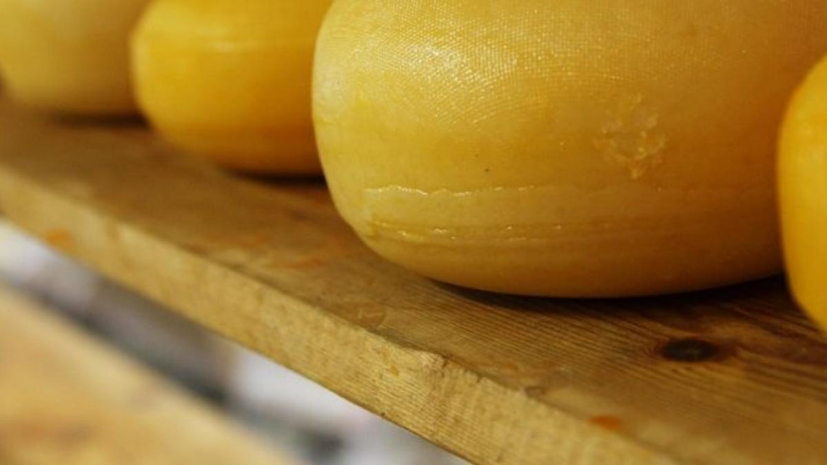 mancam ulei vegetal pe post de cascaval 30 din produsele lactate ne distrug sanatatea