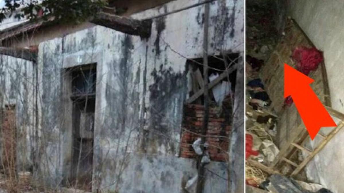 a trecut pe langa o magazie si a auzit niste sunete bizare cand a vazut ce era inauntru a inceput