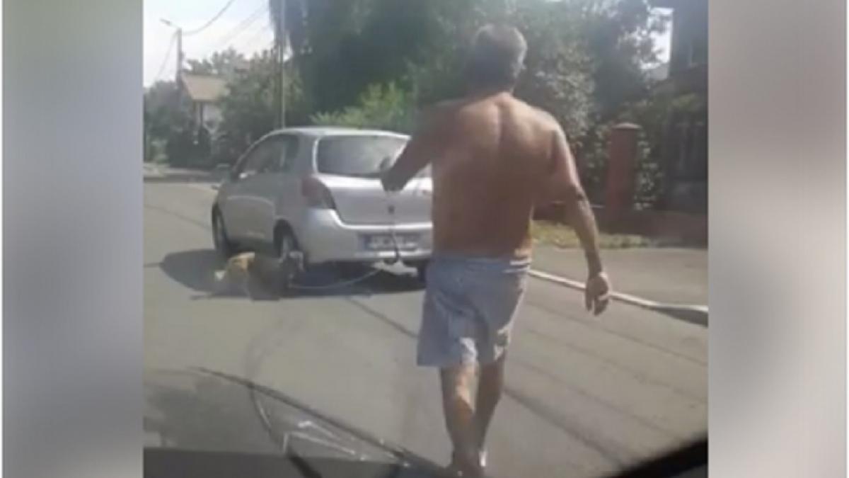 imagini ireale surprinse in buftea un barbat a legat cainele de portbagajul masinii si l a tarait