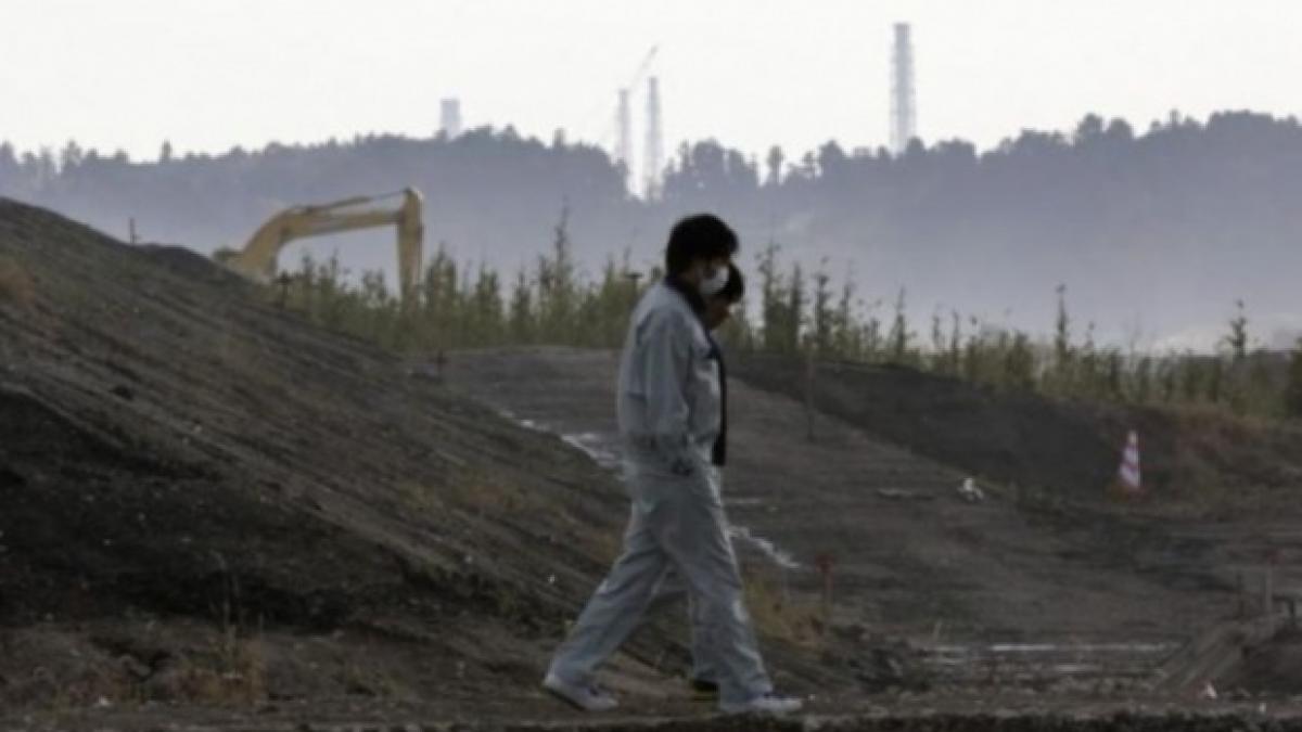 Un robot a coborât în reactoarele nucleare distruse de la Fukushima! E incredibil ce a găsit în interior 