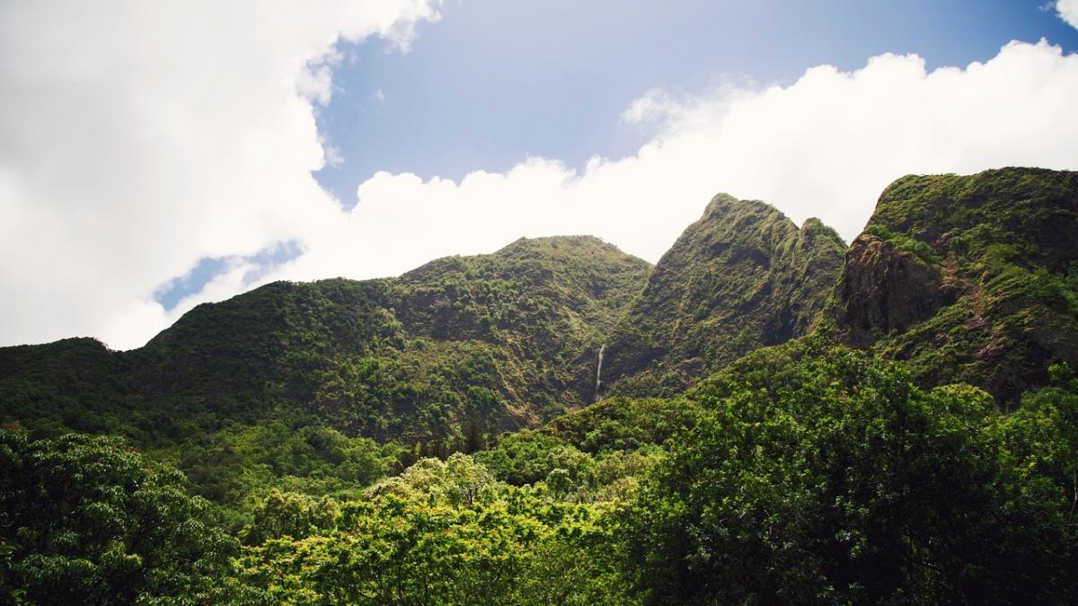 avea 17 ani cand avionul in care era s a prabusit in jungla a fost singura supravietuitoare a
