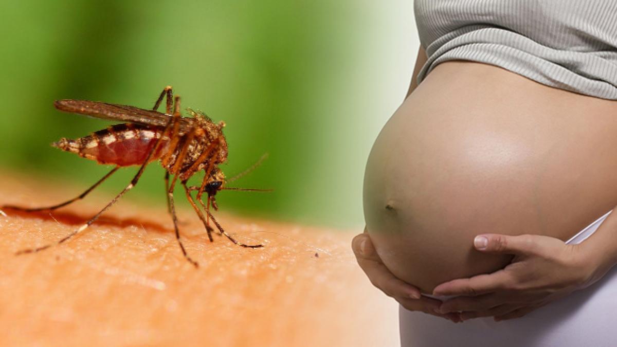 de ce tantarii nu ciupesc pe toata lumea sase motive pentru care ii atragi ca un magnet