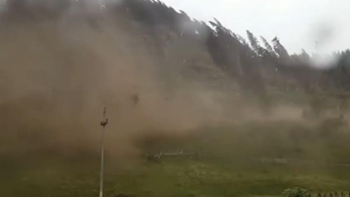 o furtuna a facut ravagii in judetul suceava padure pusa la pamant de vanturile puternice video