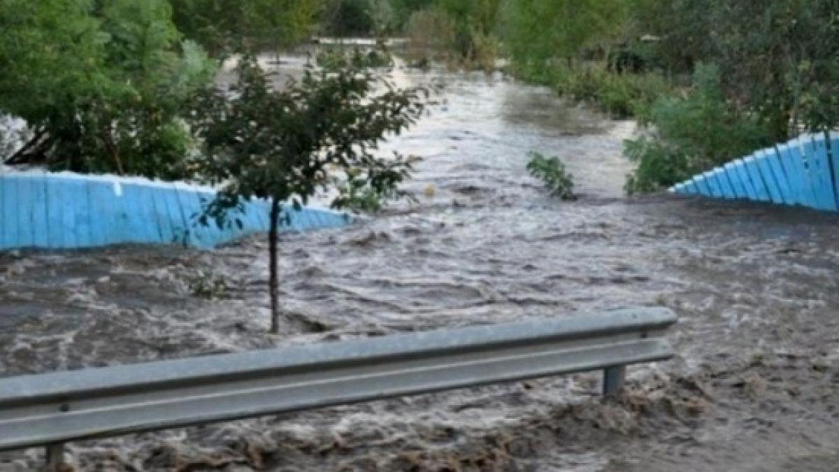 Inundațiile fac ravagii în județul Tulcea! O dubă a fost luată de viitură - VIDEO