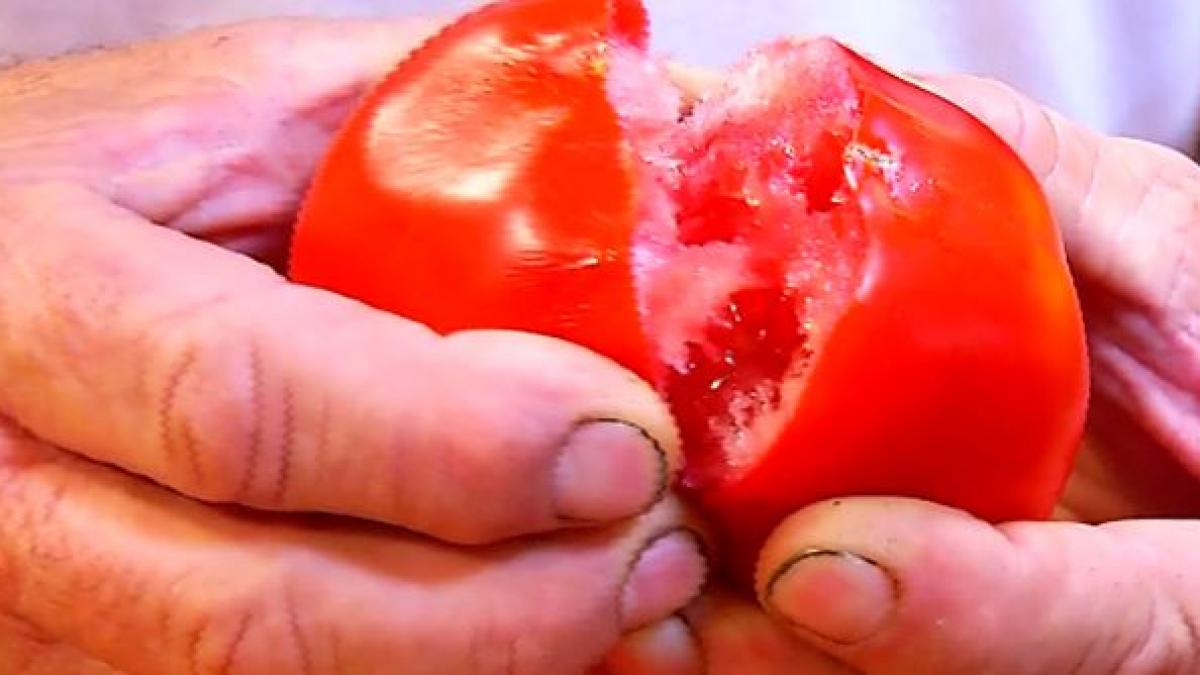 securitatea alimentara a romaniei este amenintata