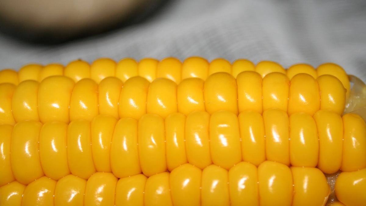 obisnuiesti sa cumperi porumb fiert pe litoral iata ce nu iti va spune nimeni niciodata despre el