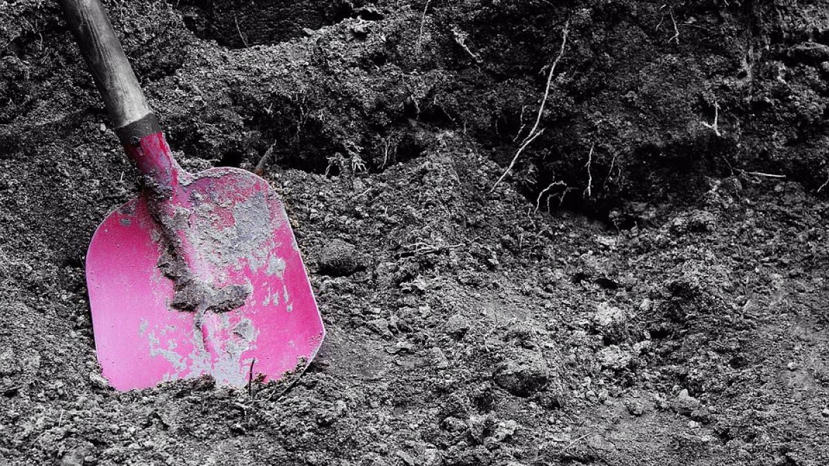 a inceput sa sape in gradina la un moment dat a lovit ceva tare gestul putea sa i fie fatal