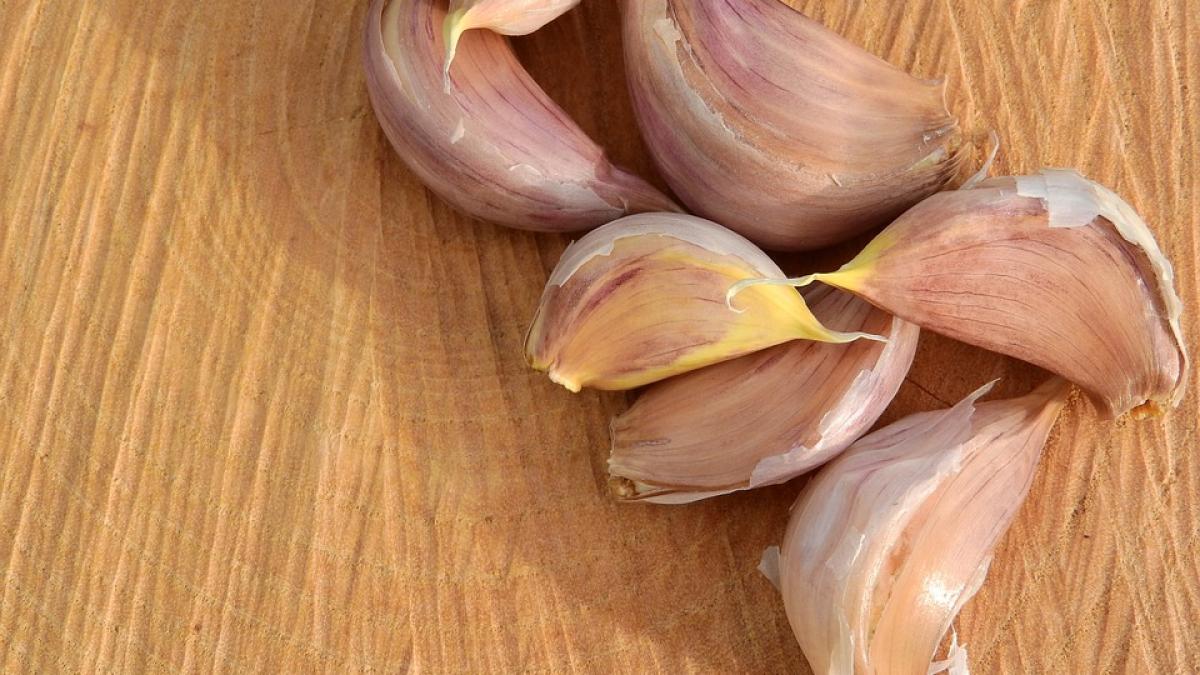 nu se pune sare in mujdeiul de usturoi cand o sa afli de ce sigur nu o sa mai faci asta niciodata