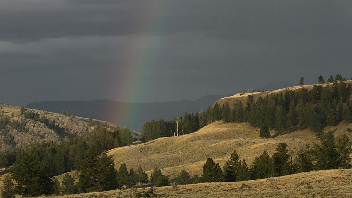 cum va fi vremea in urmatoarele doua saptamani prognoza anm pe regiuni