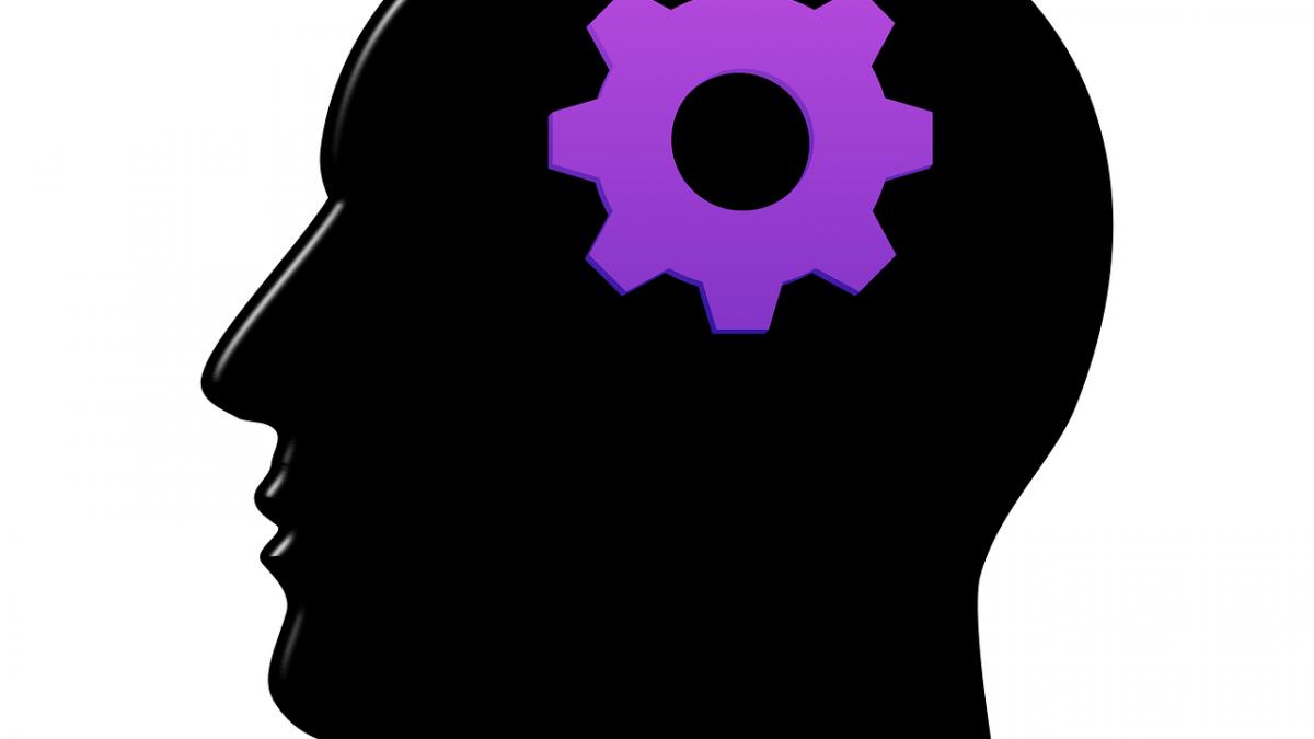 harta mondiala a inteligentei pe ce loc se afla romania