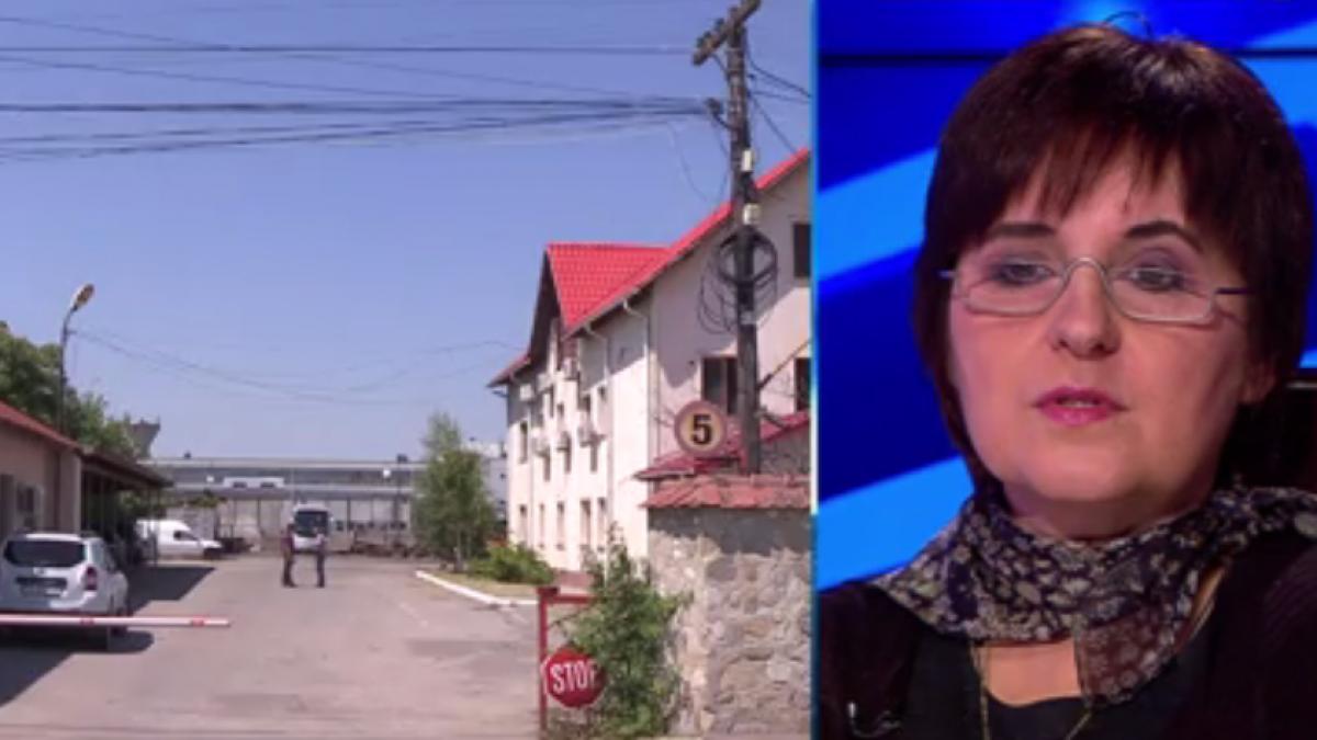 avocata familiei dragnea dezvaluiri despre perchezitiile la ferma de porci fiul lui dragnea nu mai