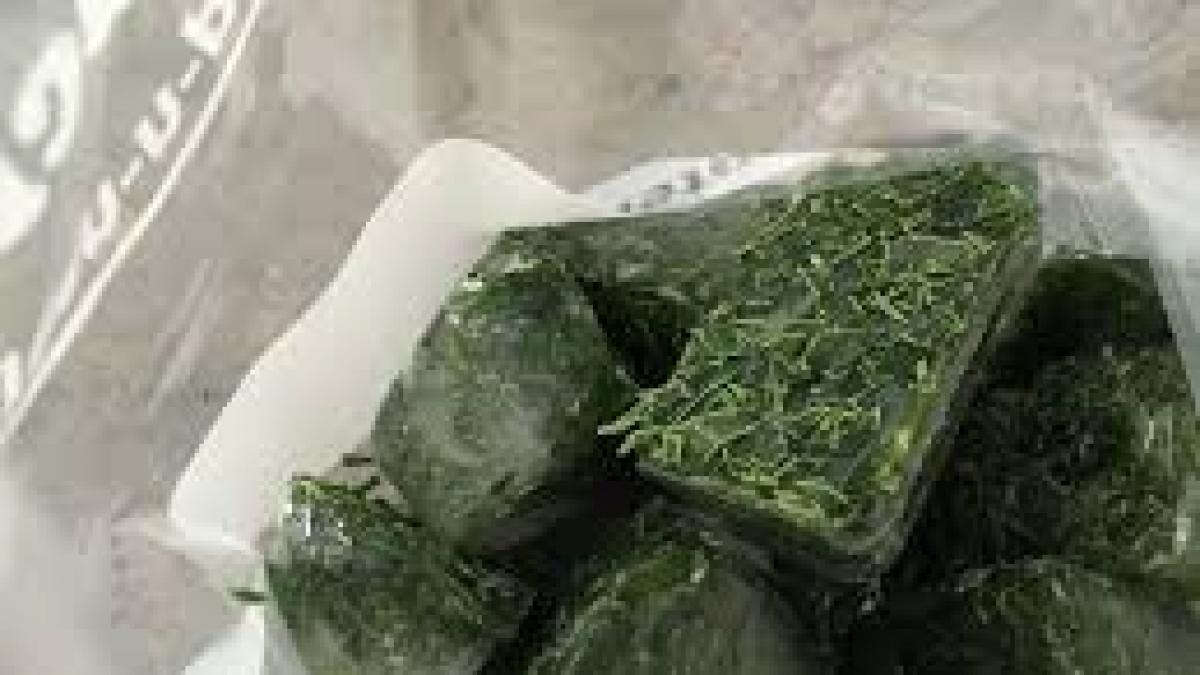 pui verdeata la congelator pentru iarna nu mai face asta