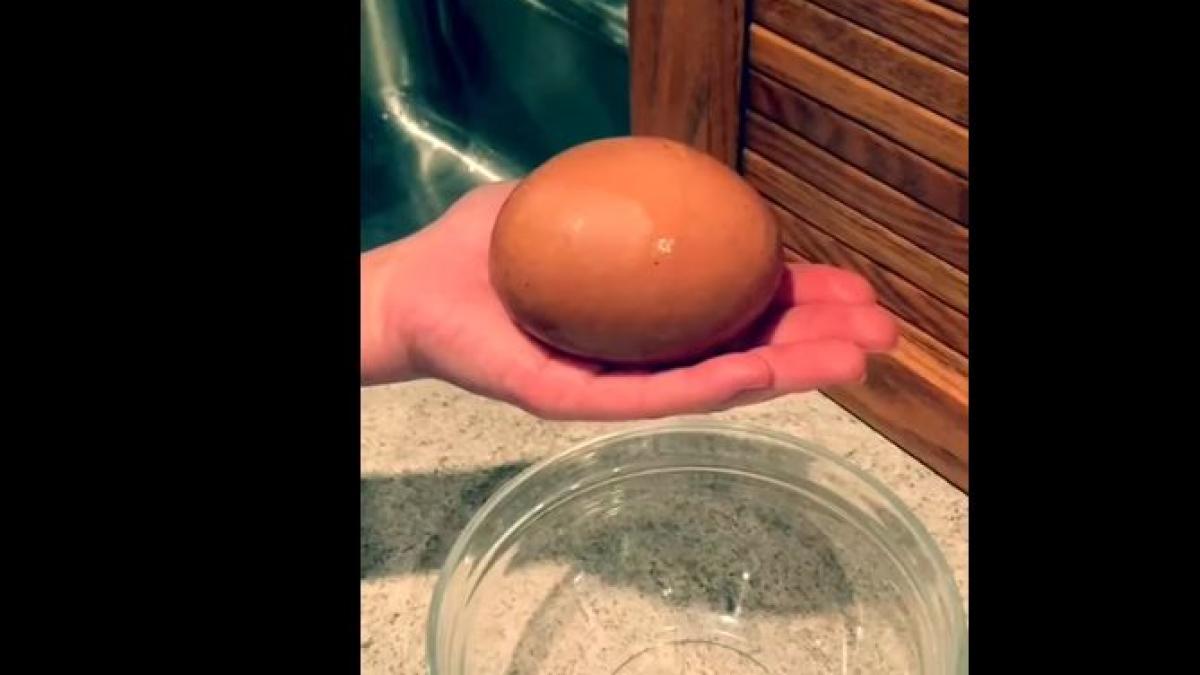 s a dus in cuibar sa ia un ou insa a avut parte de o surpriza uriasa gaina sa facuse un ou imens