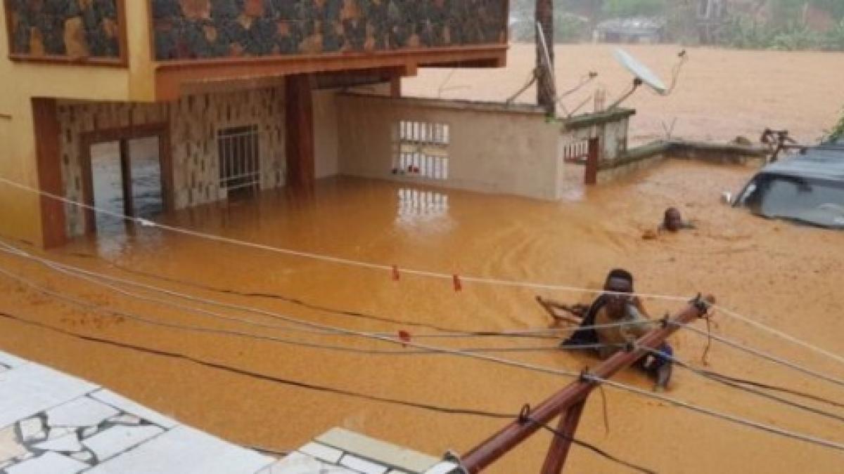 alunecari de teren in sierra leone cautarile continua au fost gasite aproape 400 de cadavre