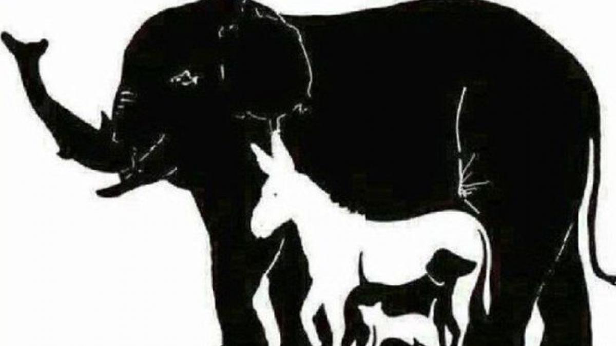 cel mai tare test de logica tu cate animale vezi in aceasta imagine