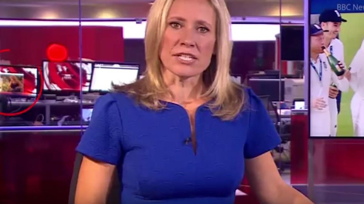 imagini inedite in direct in timpul difuzarii unui buletin de stiri un jurnalist de la bbc surprins