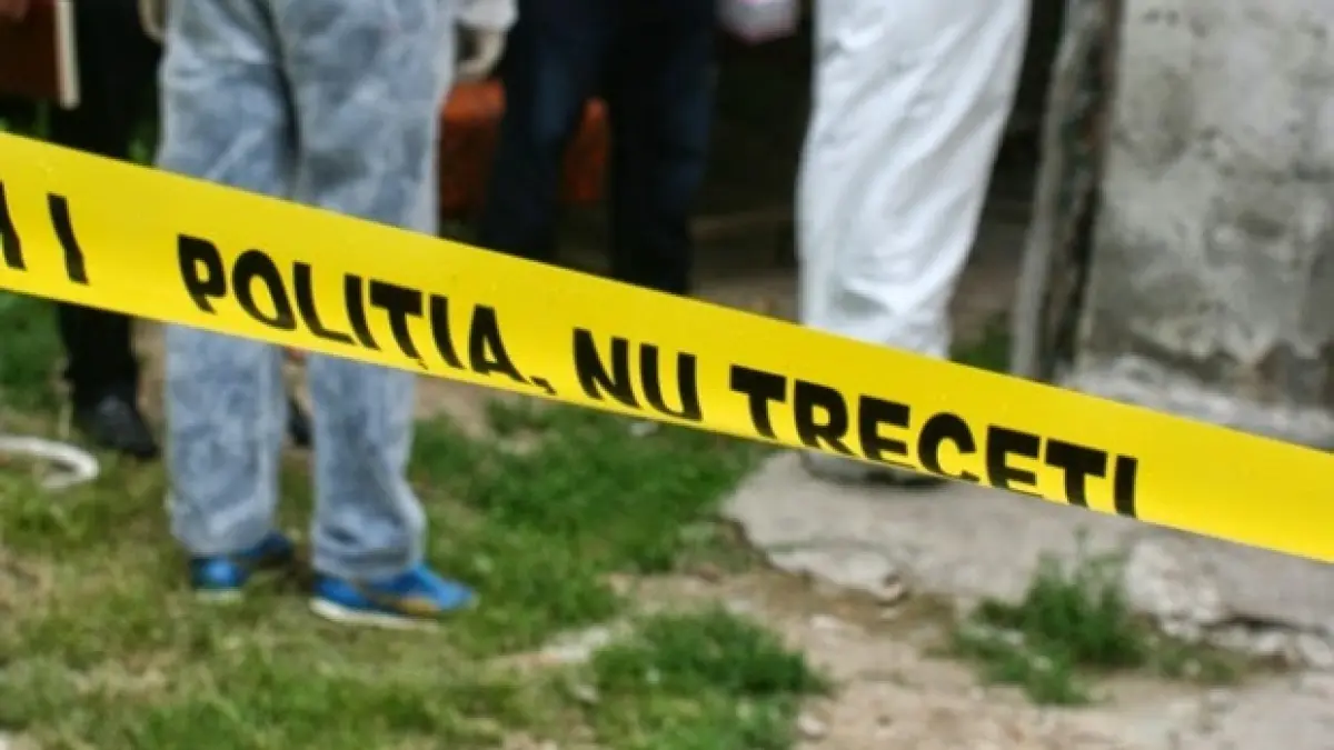 scandal in centrul timisoarei intre clanurile de romi o dadeau pe femeie cu capul de asfalt si de