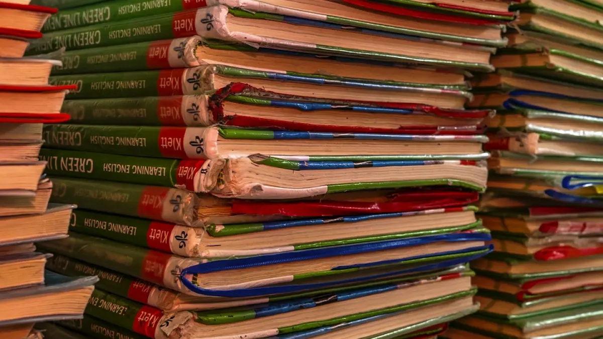 elevii din clasa a cincea nu vor avea manuale scolare in primele doua luni ministrul educatiei