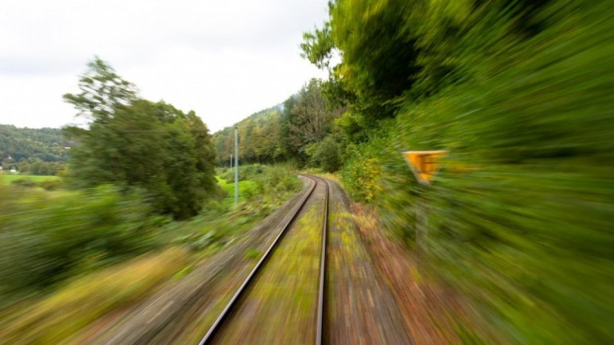 doua persoane au fost lovite de tren in judetul timis traficul feroviar intrerupt intre lugoj si