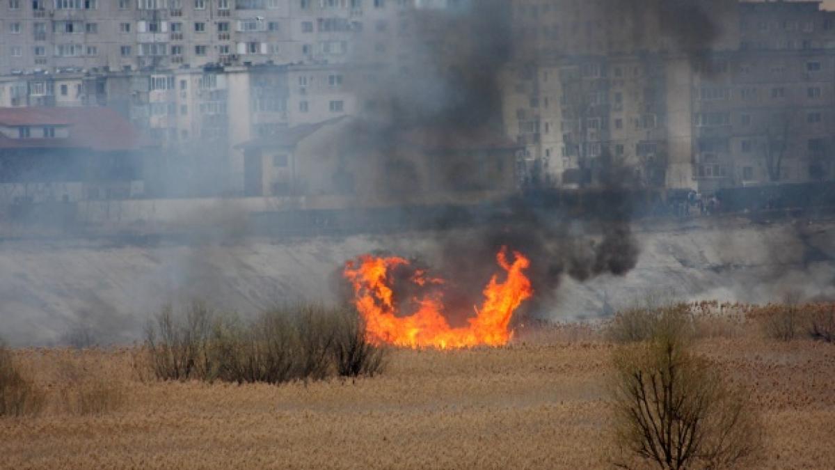 incendiu de vegetatie in delta vacaresti din capitala