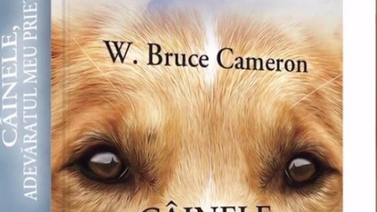 numai de bine carti pe care trebuie sa le citesti pana la sfarsitul verii