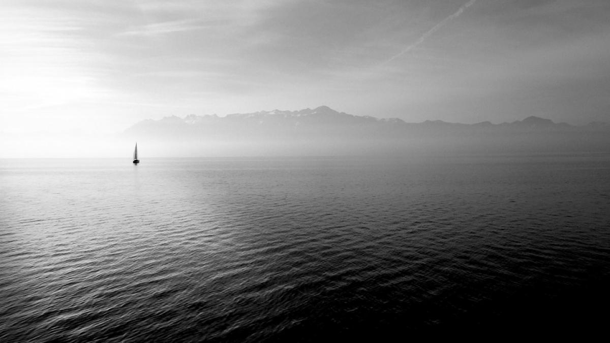 fenomen inspaimantator in marea neagra