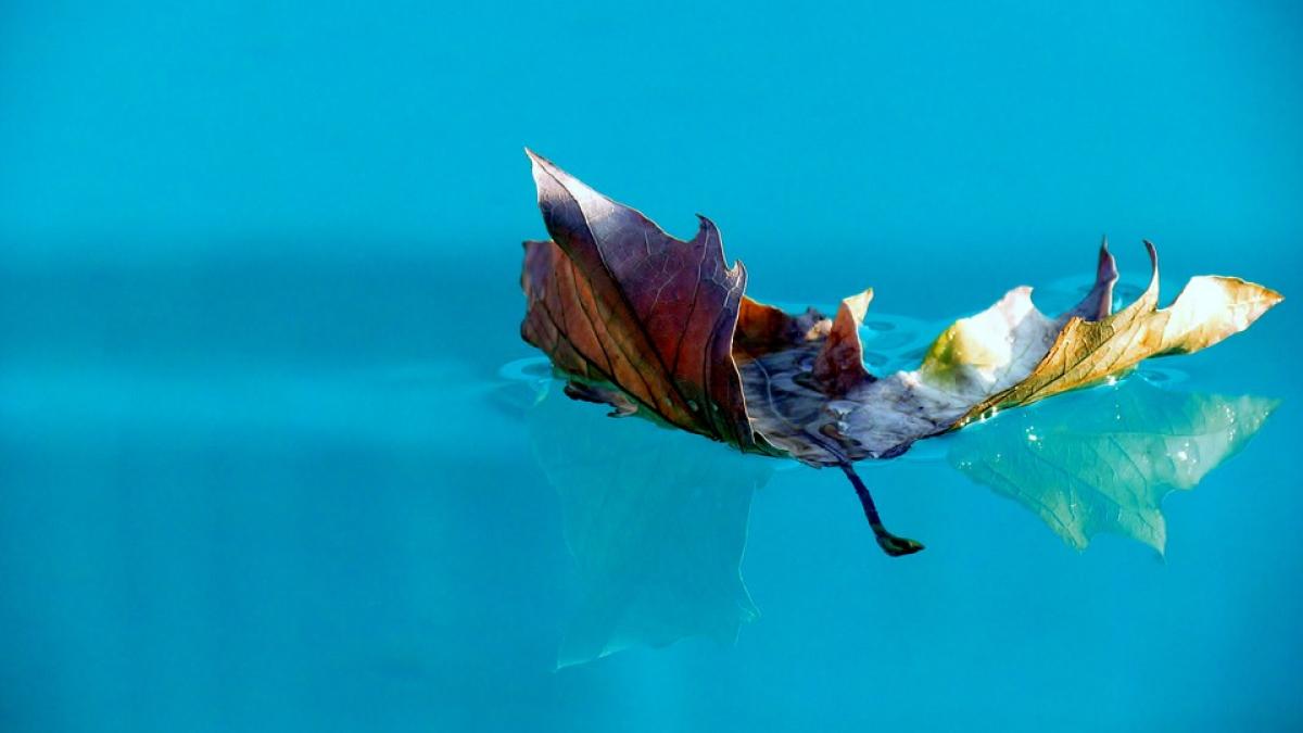 mediterana din mijlocul romaniei locul care se afla pe lista primelor cinci minuni ale naturii din