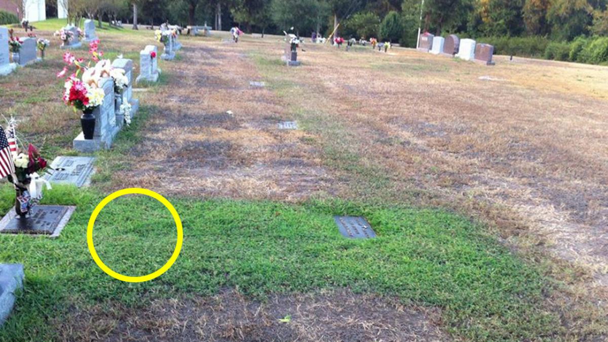 mama nu intelegea de ce crestea iarba doar pe mormantul fiului ei cand a aflat motivul a izbucnit