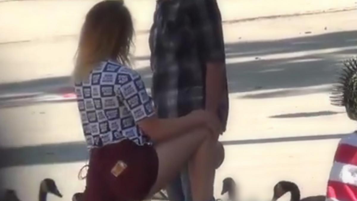 a aflat de la un vecin ca sotul o insala cu pustoaice asa ca i a intins o capcana cu ajutorul unei